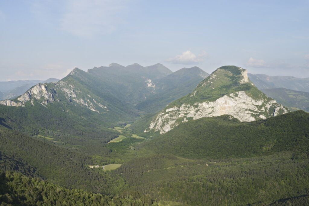 L’Observatoire photographique du paysage de la forêt de Saoû