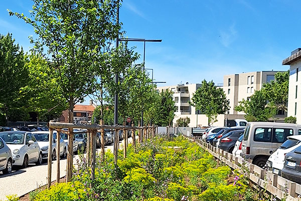 Rue avec arbre